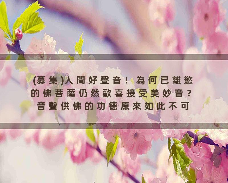 (募集)人間好聲音！為何已離慾的佛菩薩仍然歡喜接受美妙音？音聲供佛的功德原來如此不可思議？