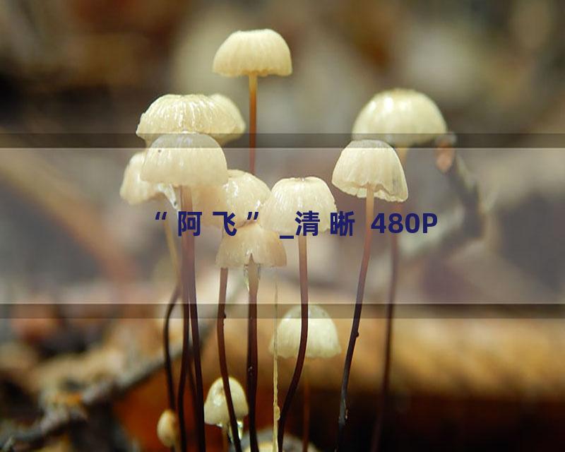 “阿飞”_清晰 480P