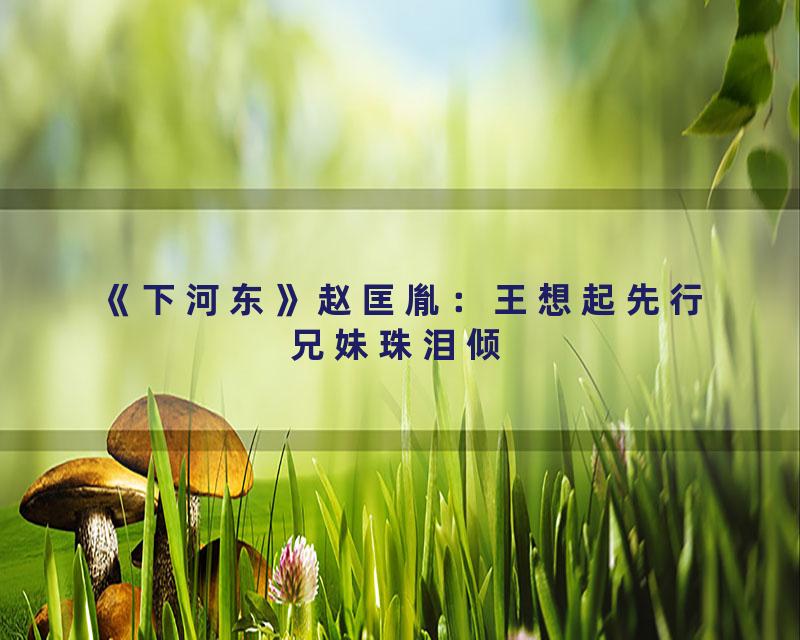 《下河东》赵匡胤：王想起先行兄妹珠泪倾