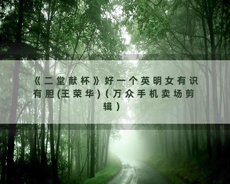 《二堂献杯》好一个英明女有识有胆(王荣华)（万众手机卖场剪辑）