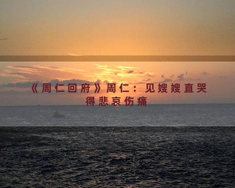 《周仁回府》周仁：见嫂嫂直哭得悲哀伤痛
