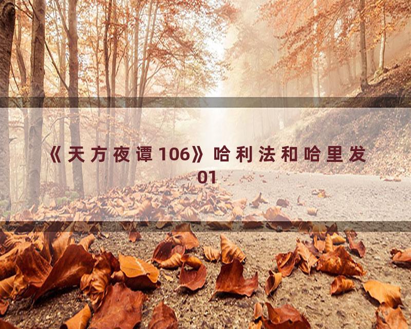 《天方夜谭106》哈利法和哈里发01