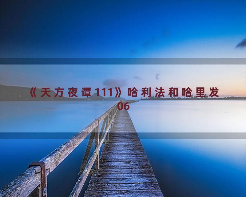 《天方夜谭111》哈利法和哈里发06