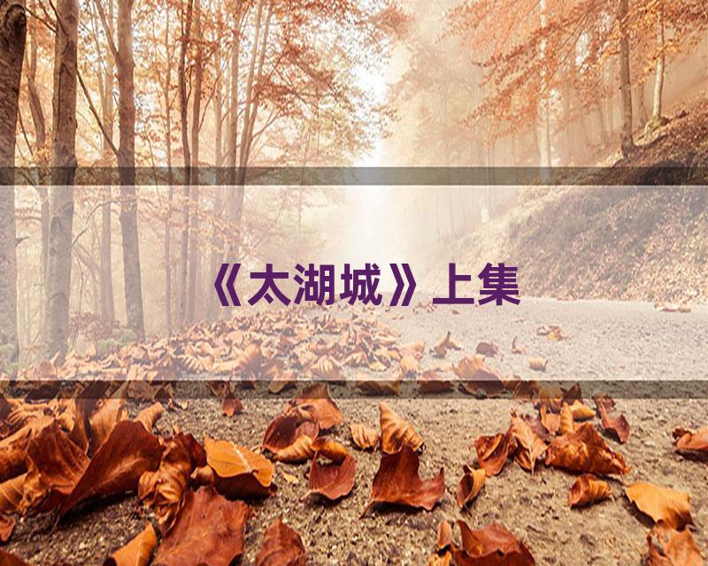 《太湖城》上集
