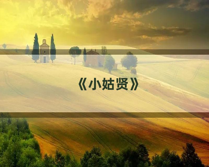 《小姑贤》