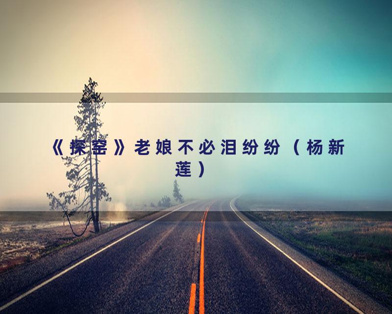 《探窑》老娘不必泪纷纷（杨新莲）