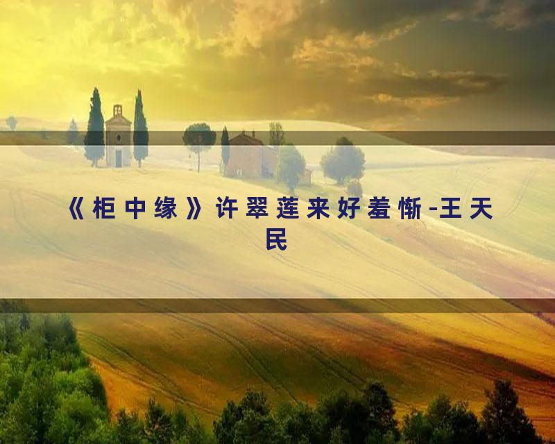 《柜中缘》许翠莲来好羞惭-王天民