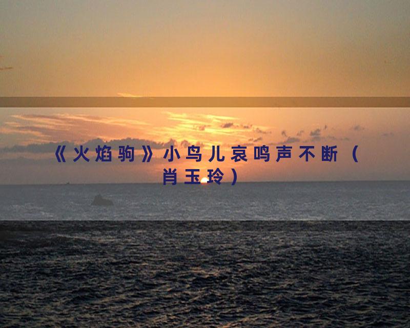 《火焰驹》小鸟儿哀鸣声不断（肖玉玲）