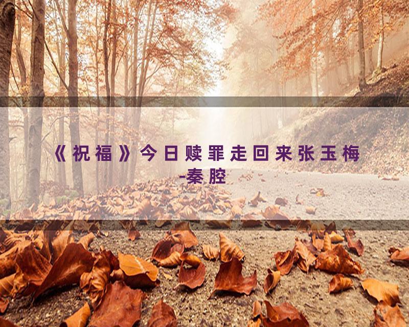 《祝福》今日赎罪走回来张玉梅-秦腔