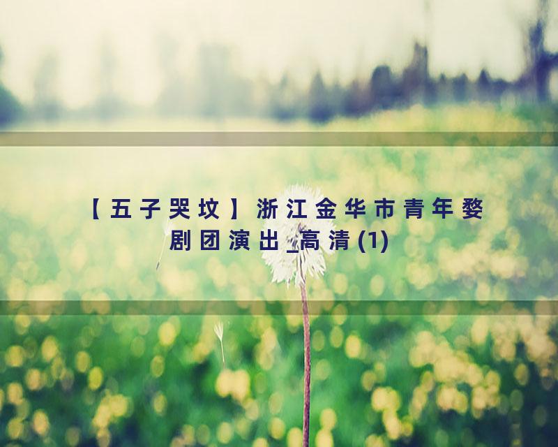 【五子哭坟】浙江金华市青年婺剧团演出_高清(1)