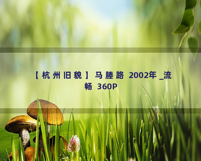 【杭州旧貌】马塍路 2002年_流畅 360P
