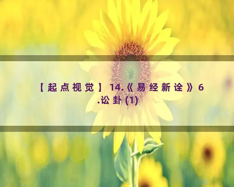 14.《易经新诠》6.讼卦(1)