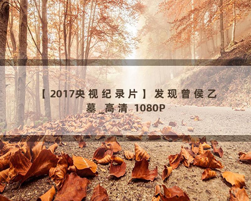 【2017央视纪录片】发现曾侯乙墓_高清 1080P