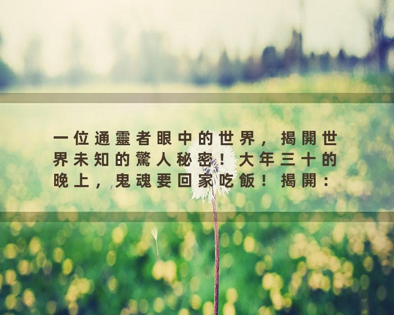 一位通靈者眼中的世界，揭開世界未知的驚人秘密！大年三十的晚上，鬼魂要回家吃飯！揭開：修行、諸神諸鬼、未來劫難、命理…