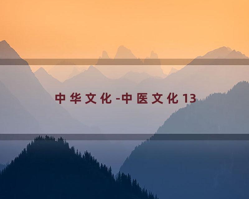 中华文化-中医文化13
