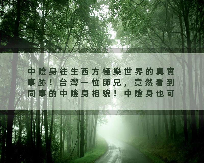 中陰身往生西方極樂世界的真實事跡！台灣一位師兄，竟然看到同事的中陰身相貌！中陰身也可以自己唸佛