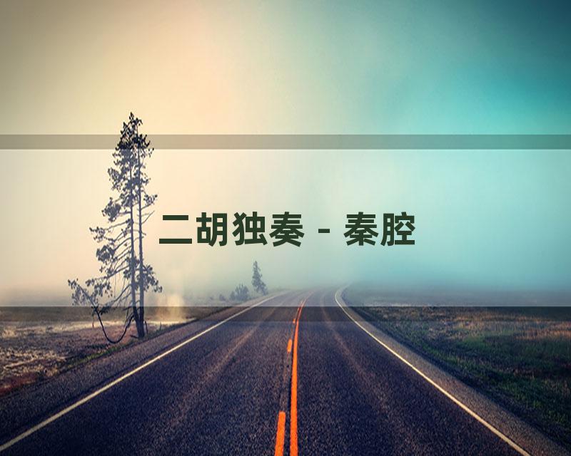 二胡独奏 - 秦腔