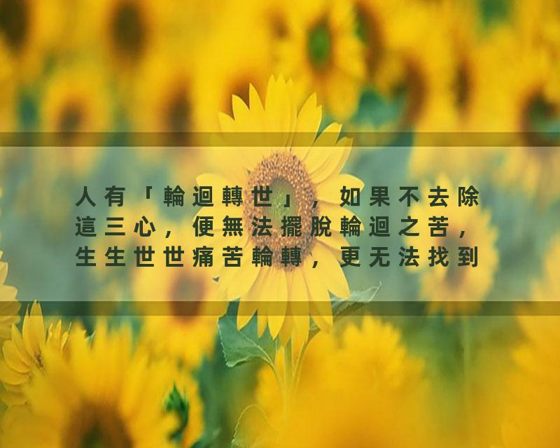 人有「輪迴轉世」，如果不去除這三心，便無法擺脫輪迴之苦，生生世世痛苦輪轉，更无法找到這一世通往覺醒之路。了悟生死坦…