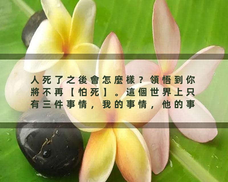 人死了之後會怎麼樣？領悟到你將不再【怕死】。這個世界上只有三件事情，我的事情，他的事情，老天的事情。