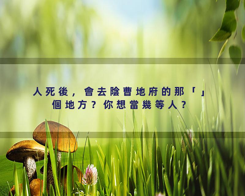 人死後，會去陰曹地府的那「」個地方？你想當幾等人？