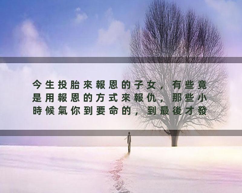 今生投胎來報恩的子女，有些竟是用報恩的方式來報仇，那些小時候氣你到要命的，到最後才發現是來報恩的。不到最後都無法發現…