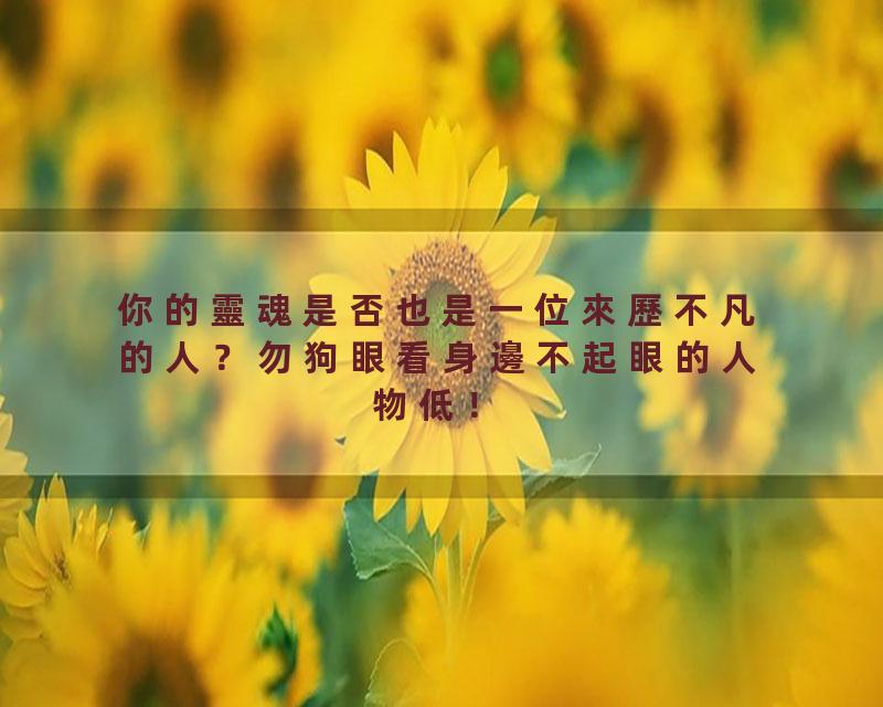 你的靈魂是否也是一位來歷不凡的人？勿狗眼看身邊不起眼的人物低！