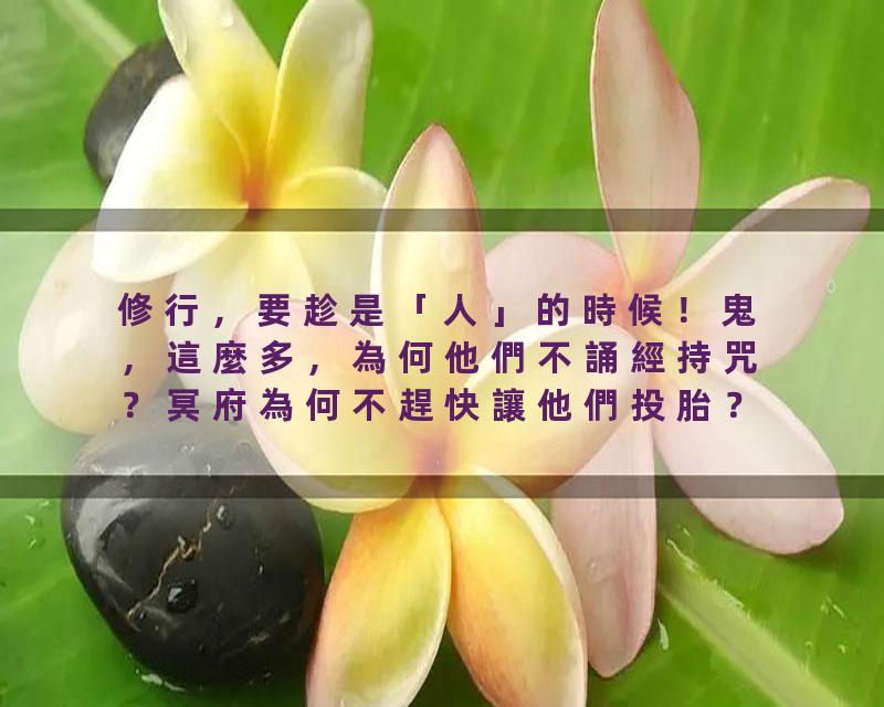 修行，要趁是「人」的時候！鬼，這麼多，為何他們不誦經持咒？冥府為何不趕快讓他們投胎？陰間最敬重？陰間的罪輕重，如何…
