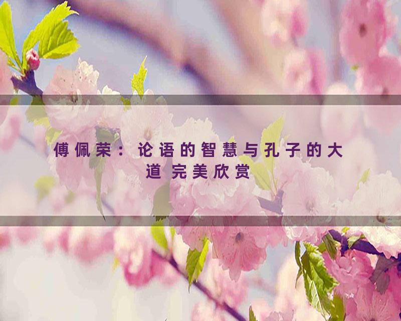 傅佩荣：论语的智慧与孔子的大道 完美欣赏