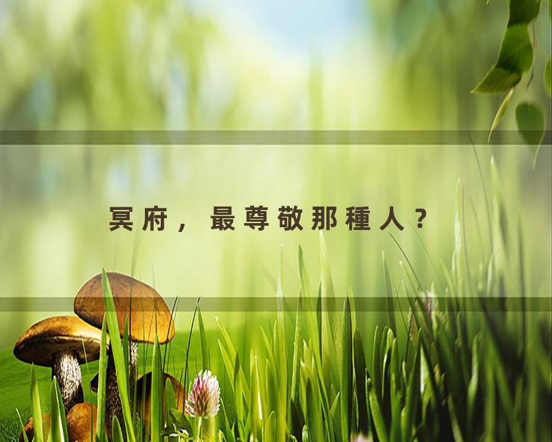 冥府，最尊敬那種人？