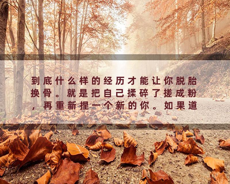到底什么样的经历才能让你脱胎换骨。就是把自己揉碎了搓成粉，再重新捏一个新的你。如果道理不是你自己悟出来的，谁…