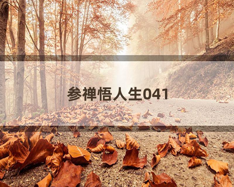 参禅悟人生041