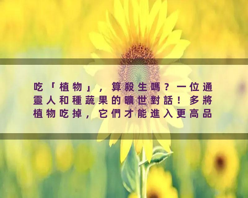 吃「植物」，算殺生嗎？一位通靈人和種蔬果的曠世對話！多將植物吃掉，它們才能進入更高品位