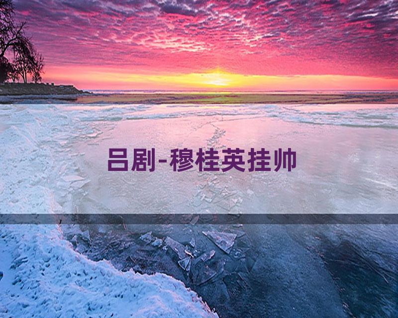 吕剧-穆桂英挂帅