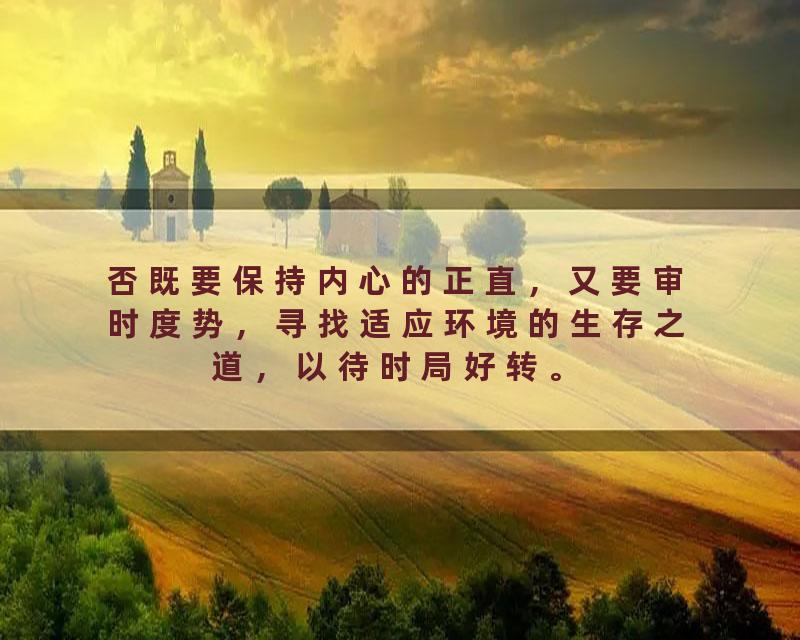 否既要保持内心的正直，又要审时度势，寻找适应环境的生存之道，以待时局好转。