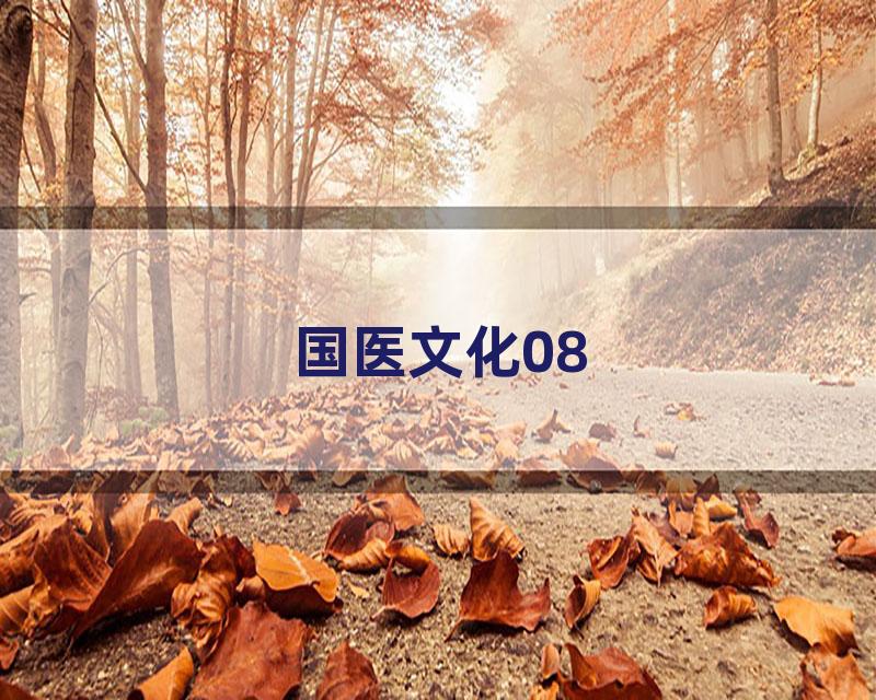 国医文化08