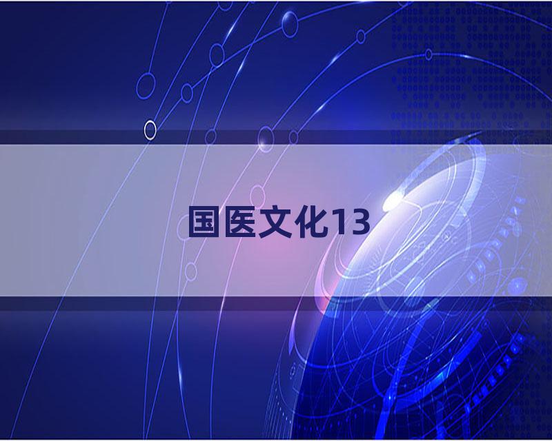 国医文化13