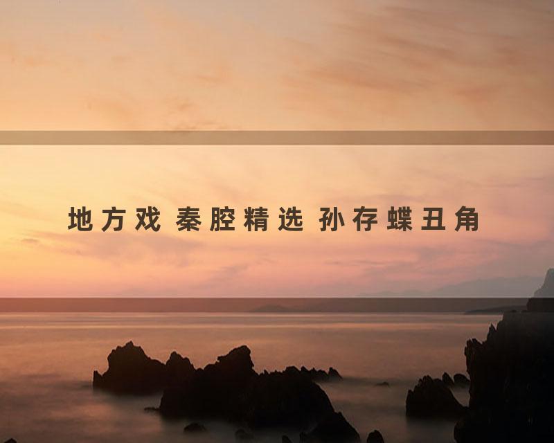 地方戏 秦腔精选 孙存蝶丑角