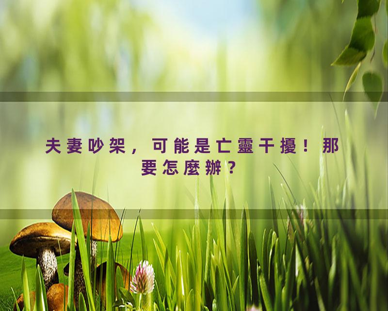 夫妻吵架，可能是亡靈干擾！那要怎麼辦？