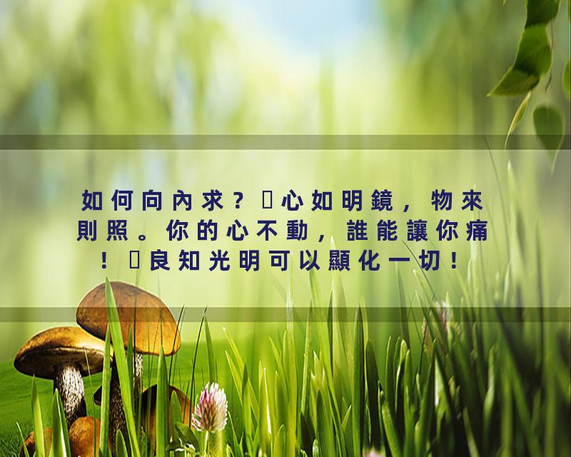 如何向內求？心如明鏡，物來則照。你的心不動，誰能讓你痛！良知光明可以顯化一切！