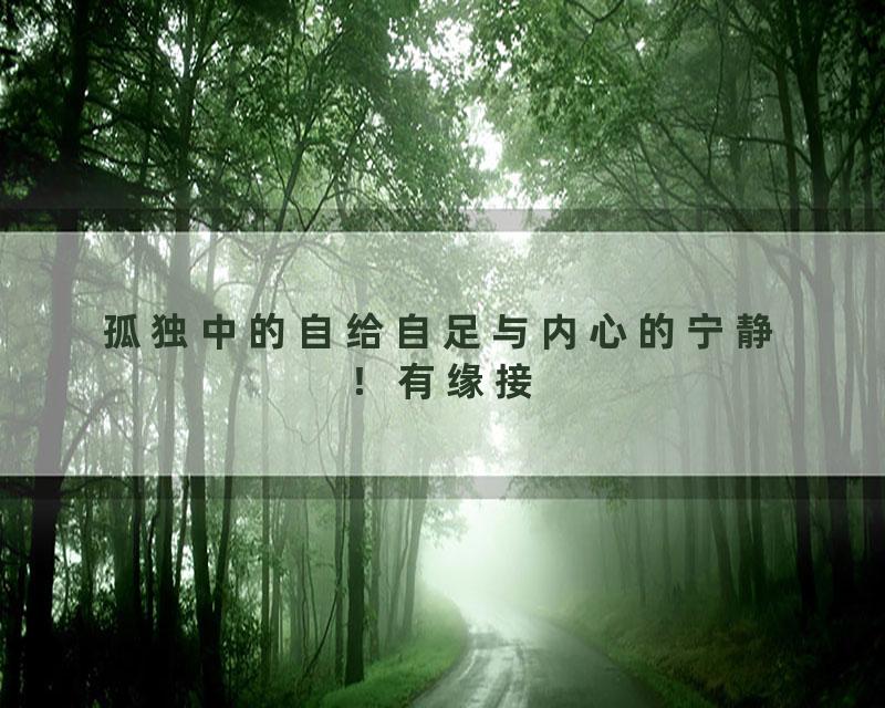 孤独中的自给自足与内心的宁静！有缘接