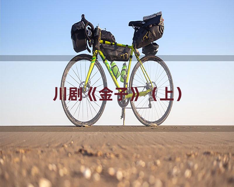 川剧《金子》（上）