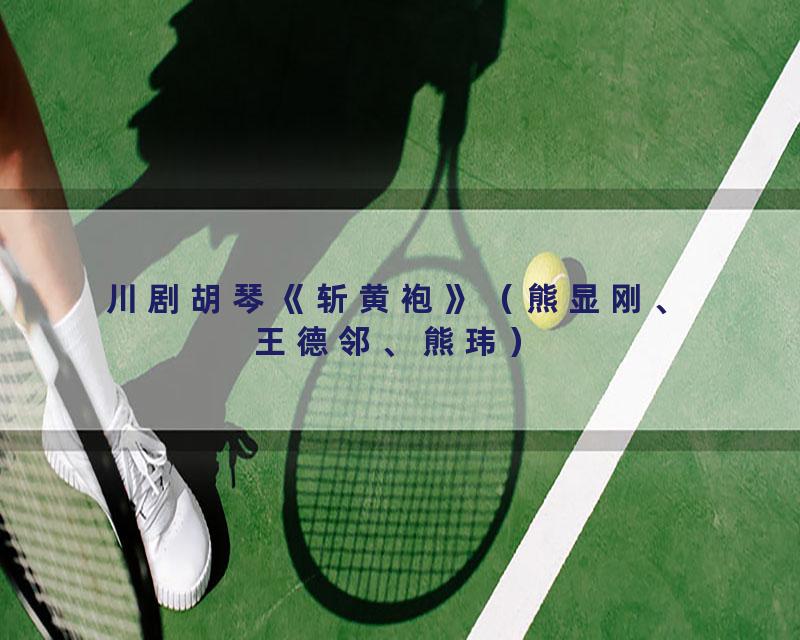 川剧胡琴《斩黄袍》（熊显刚、王德邻、熊玮）