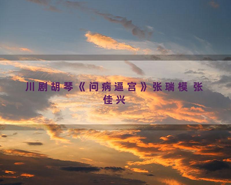 川剧胡琴《问病逼宫》张瑞模 张佳兴