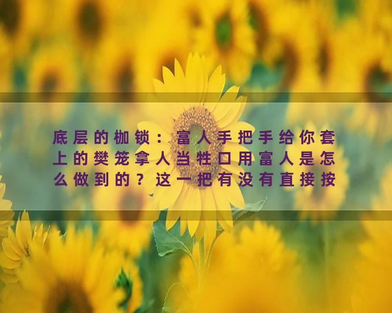 底层的枷锁：富人手把手给你套上的樊笼拿人当牲口用富人是怎么做到的？这一把有没有直接按死你？