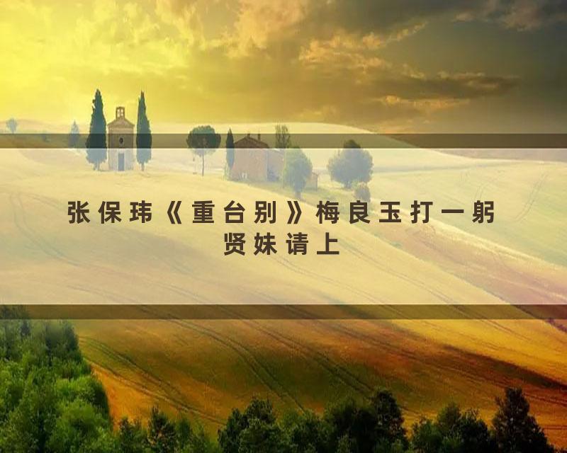 张保玮《重台别》梅良玉打一躬贤妹请上