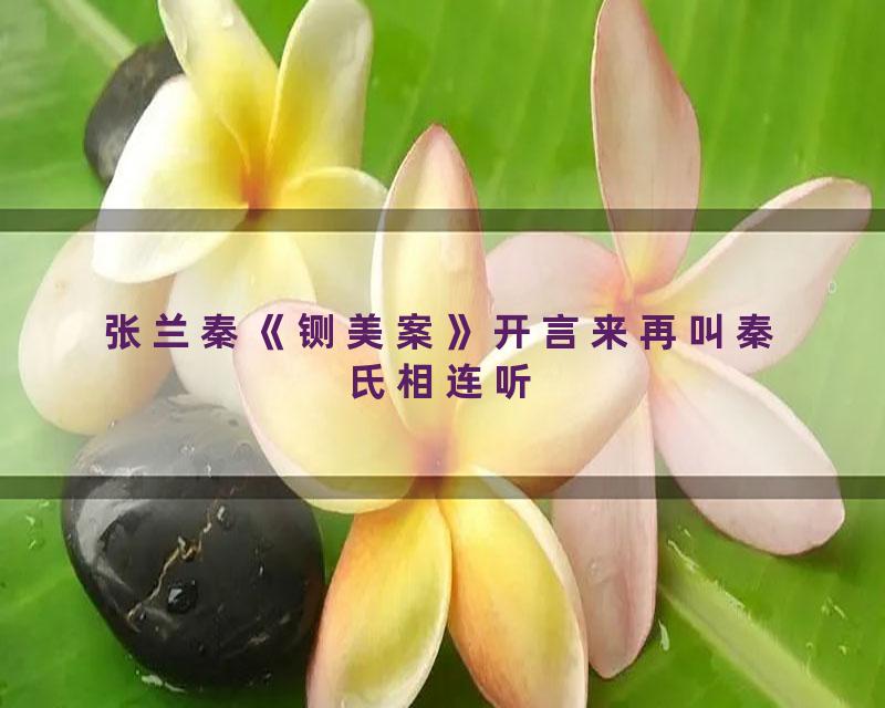 张兰秦《铡美案》开言来再叫秦氏相连听