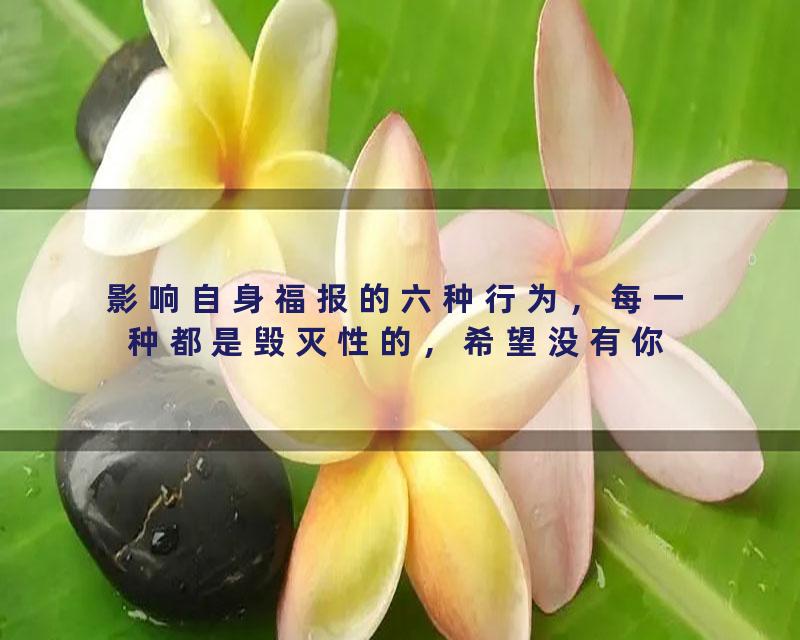 影响自身福报的六种行为，每一种都是毁灭性的，希望没有你#覺悟時代#福报#命运#修行