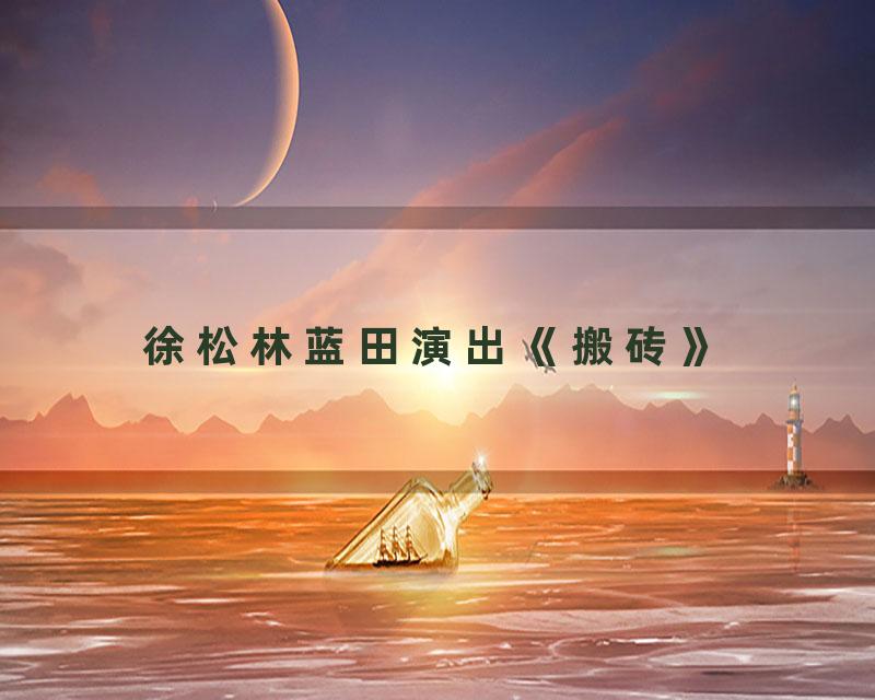 徐松林蓝田演出《搬砖》