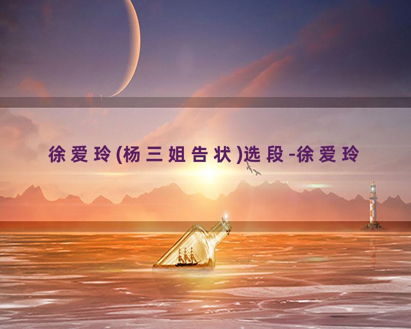 徐爱玲(杨三姐告状)选段-徐爱玲