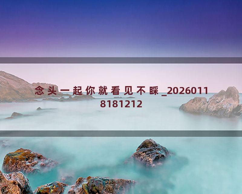 念头一起你就看见不睬_20260118181212